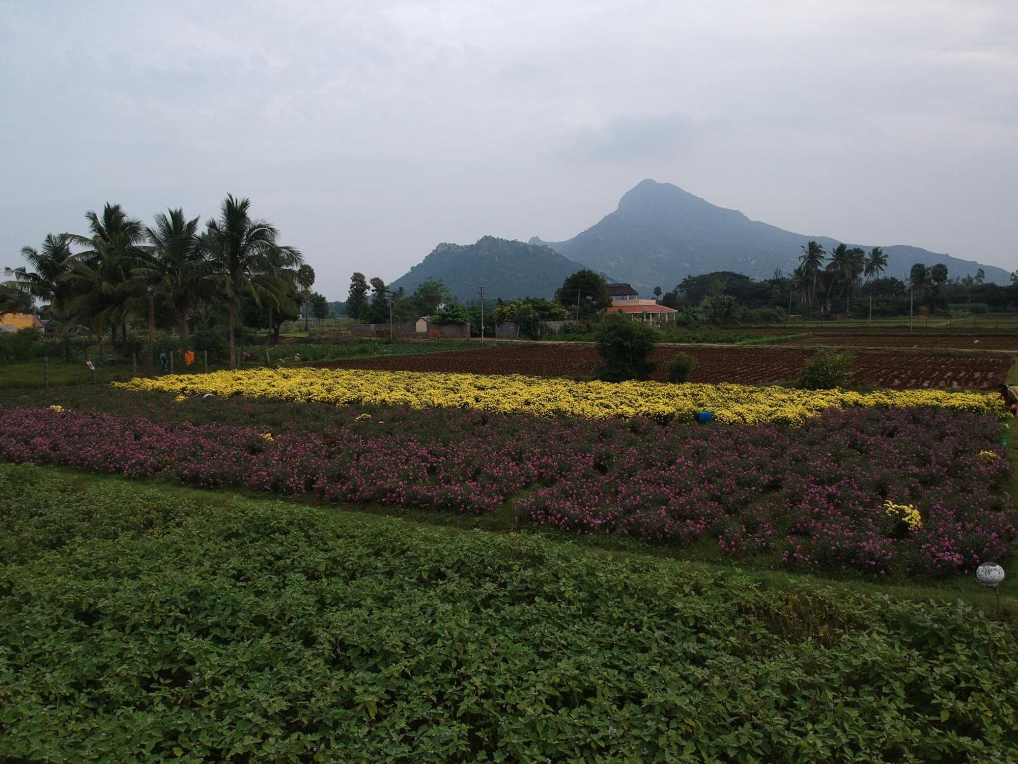 Rpm Home Stay Tiruvannāmalai Екстериор снимка